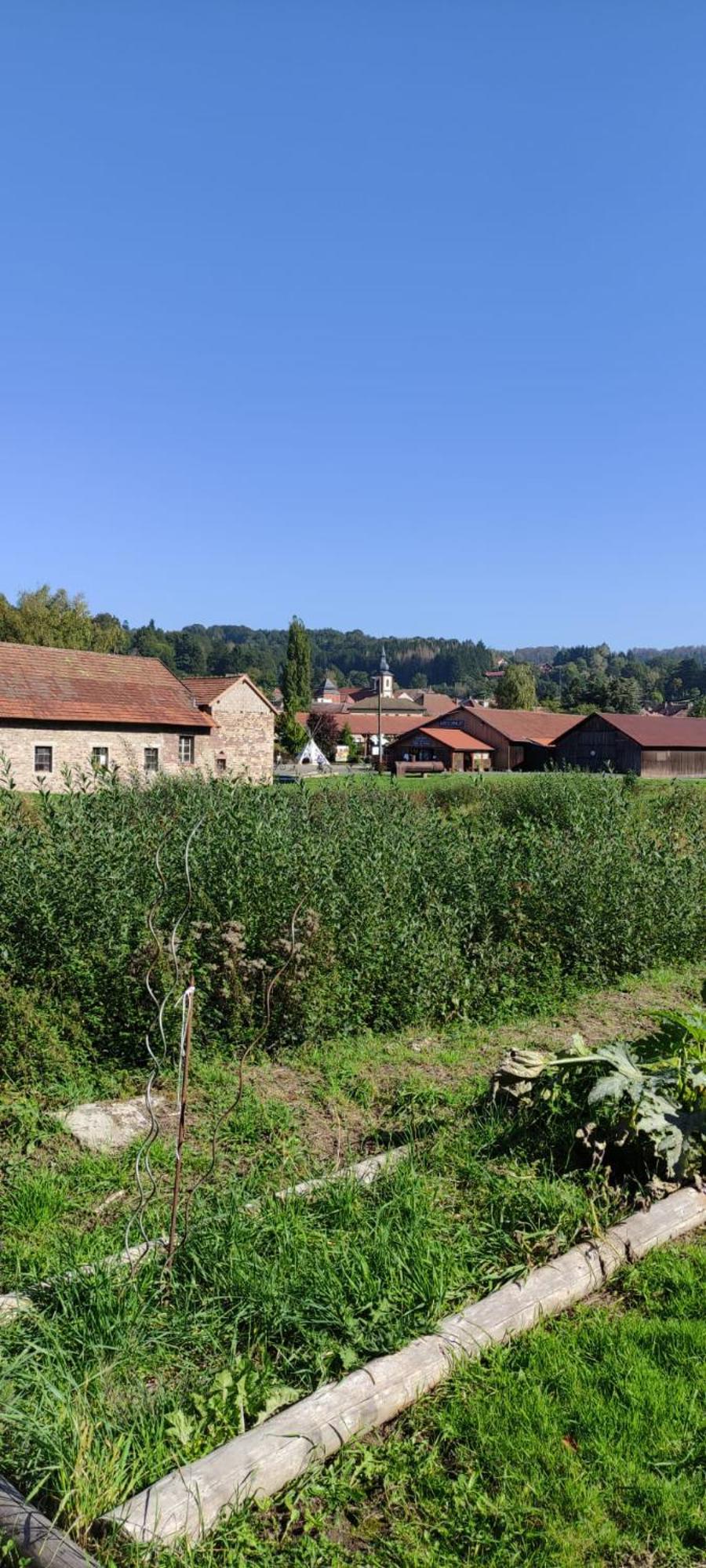 La Fontaine Aux Enfants - Gr5 - Chambre Avec Sdb Privee Abreschviller Esterno foto